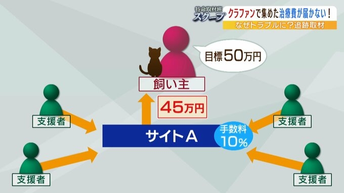 「この子たちの命が失われてしまう可能性ある...」クラファンサイトで猫の治療費を集めたのに『サイト運営者からお金が届かない』複数利用者が訴え...追跡取材