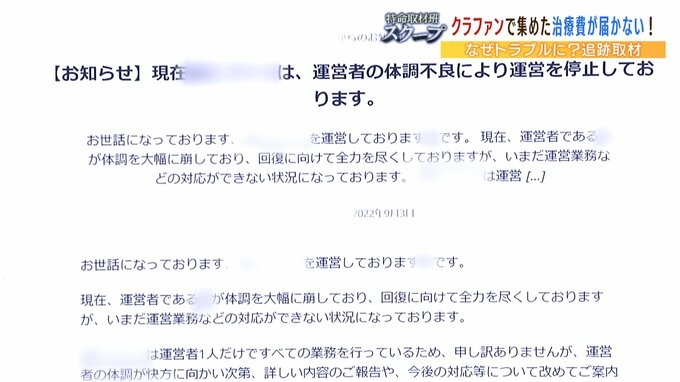 「この子たちの命が失われてしまう可能性ある...」クラファンサイトで猫の治療費を集めたのに『サイト運営者からお金が届かない』複数利用者が訴え...追跡取材