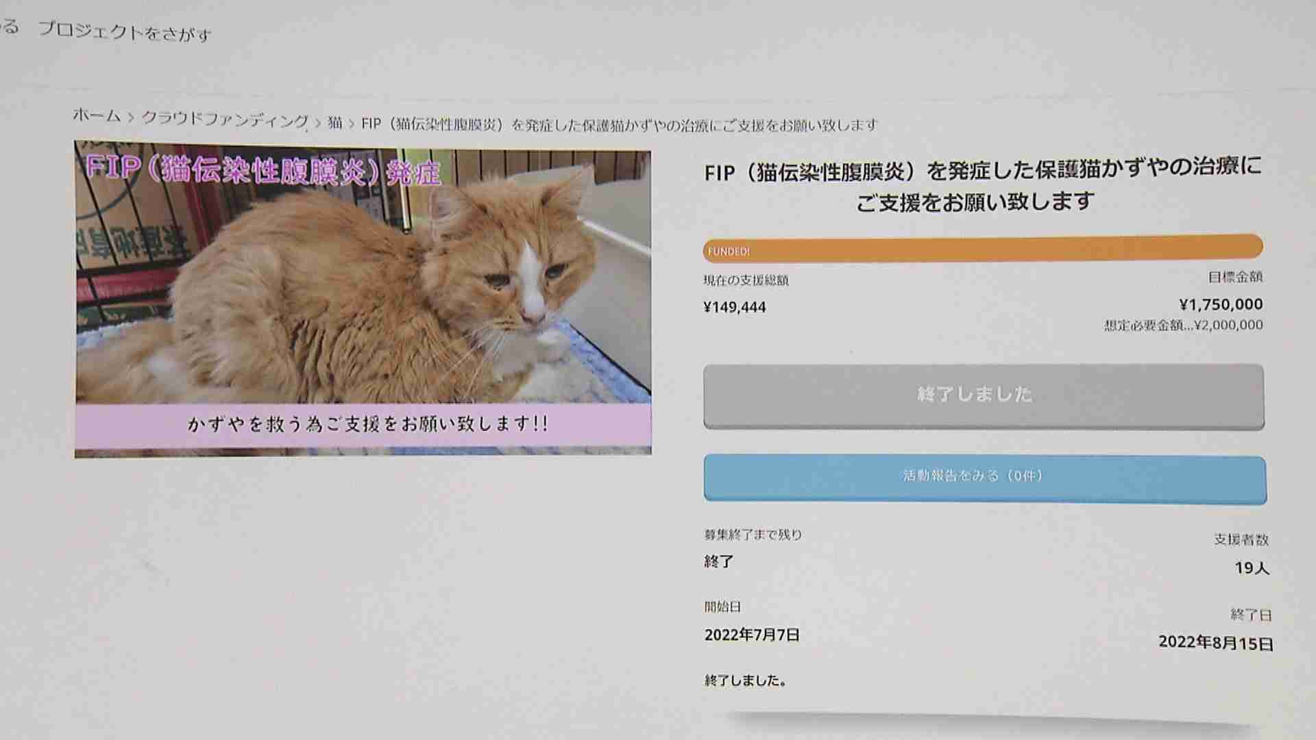 「この子たちの命が失われてしまう可能性ある...」クラファンサイトで猫の治療費を集めたのに『サイト運営者からお金が届かない』複数利用者が訴え...追跡取材 | TBS NEWS DIG
