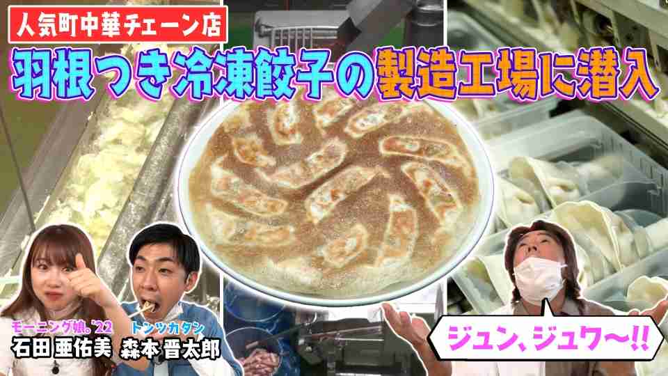 ホリケンのみんなともだち | TVer