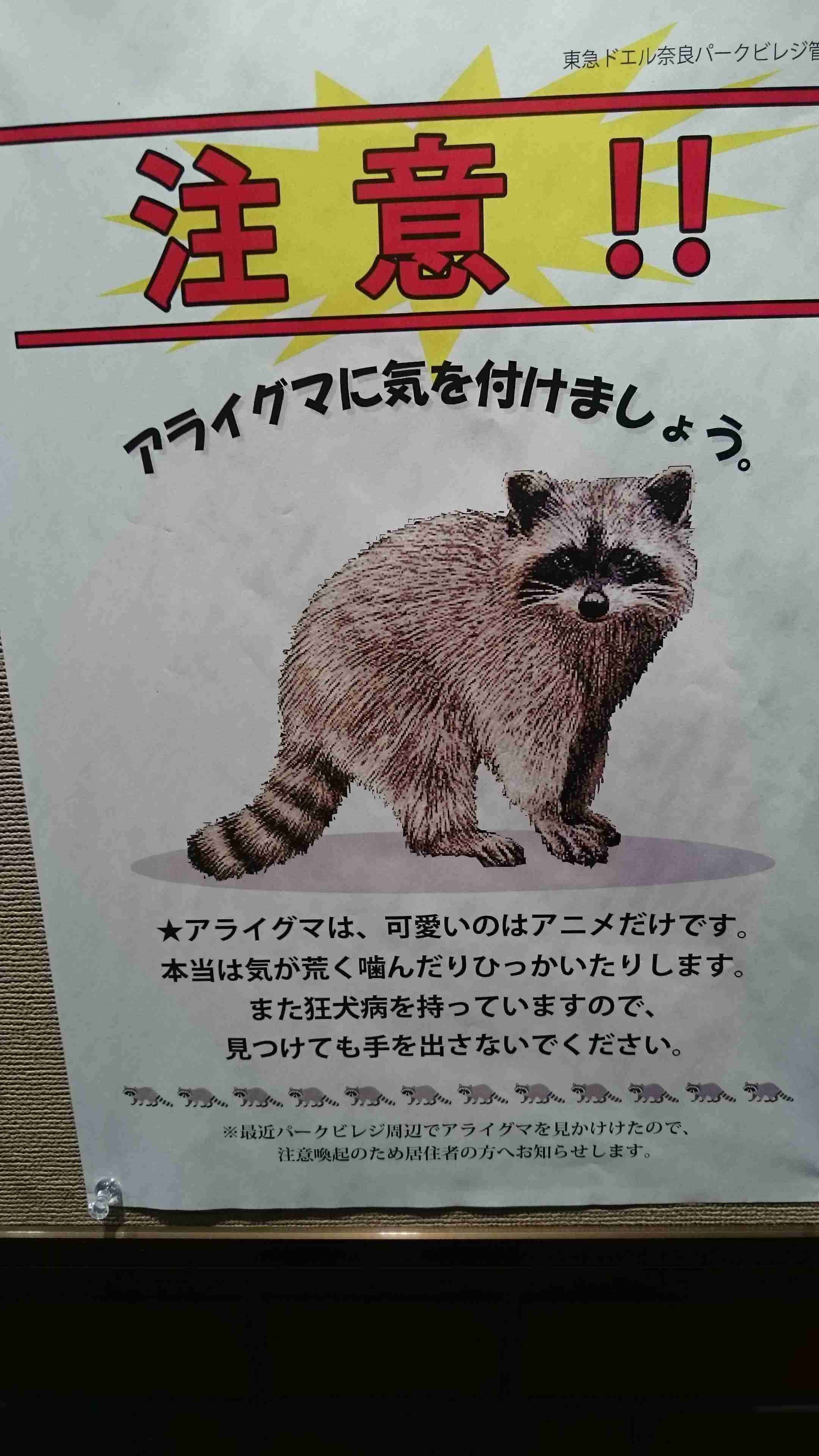 都心に“危険”アライグマ出没　実は凶暴 秋の味覚に被害...相次ぐ目撃情報