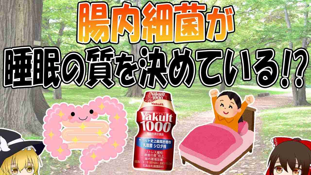 腸内細菌が睡眠の質を決めている！？【ゆっくり解説】 - YouTube