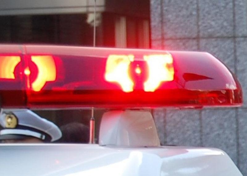 【速報】体長150センチの大型犬が逃走か　30人態勢で捜索も見つからず　「見付けても近づかず、警察へ通報を」　千葉・四街道市（千葉日報オンライン） - Yahoo!ニュース