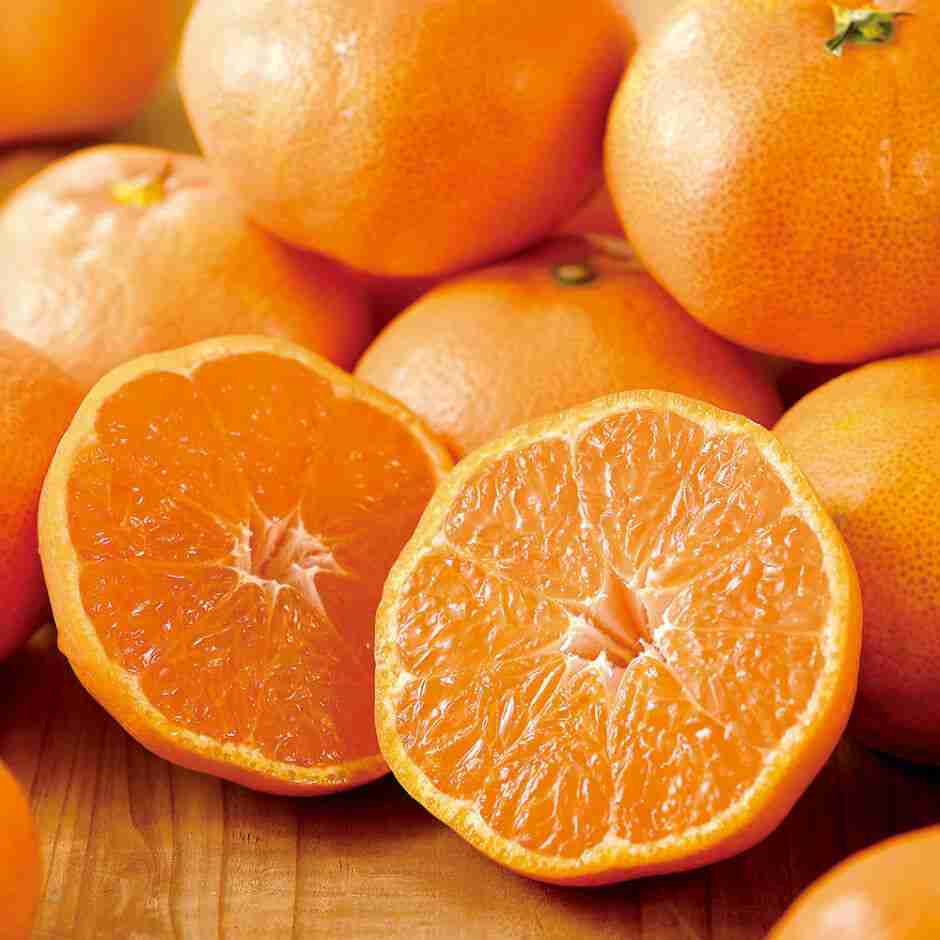 みかんが好き🍊