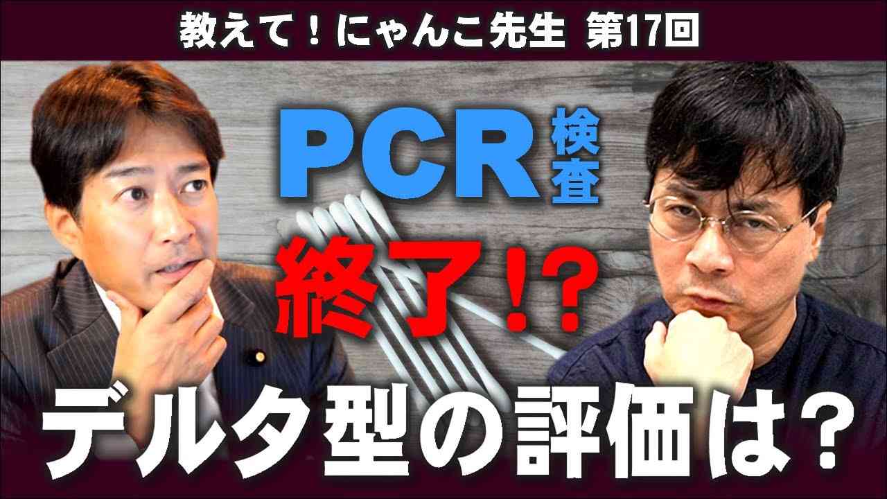 【宮沢孝幸】PCR検査は終了！？デルタ型の評価は？【教えて! にゃんこ先生 第17回】⚡8/1のやなチャン！ - YouTube