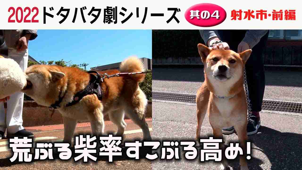 2022狂犬病予防注射会場 ドタバタ劇 其の４・射水市前編 - YouTube