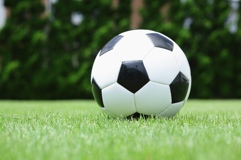 サッカーW杯、日本代表で最も奮闘した選手は？ - みんなの意見 - Yahoo!ニュース