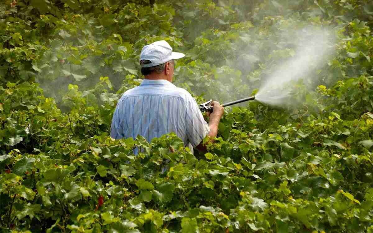 「農薬の使用率が高い国ほど発達障害が多い」…日本の野菜は本当に安全か？ | 文春オンライン