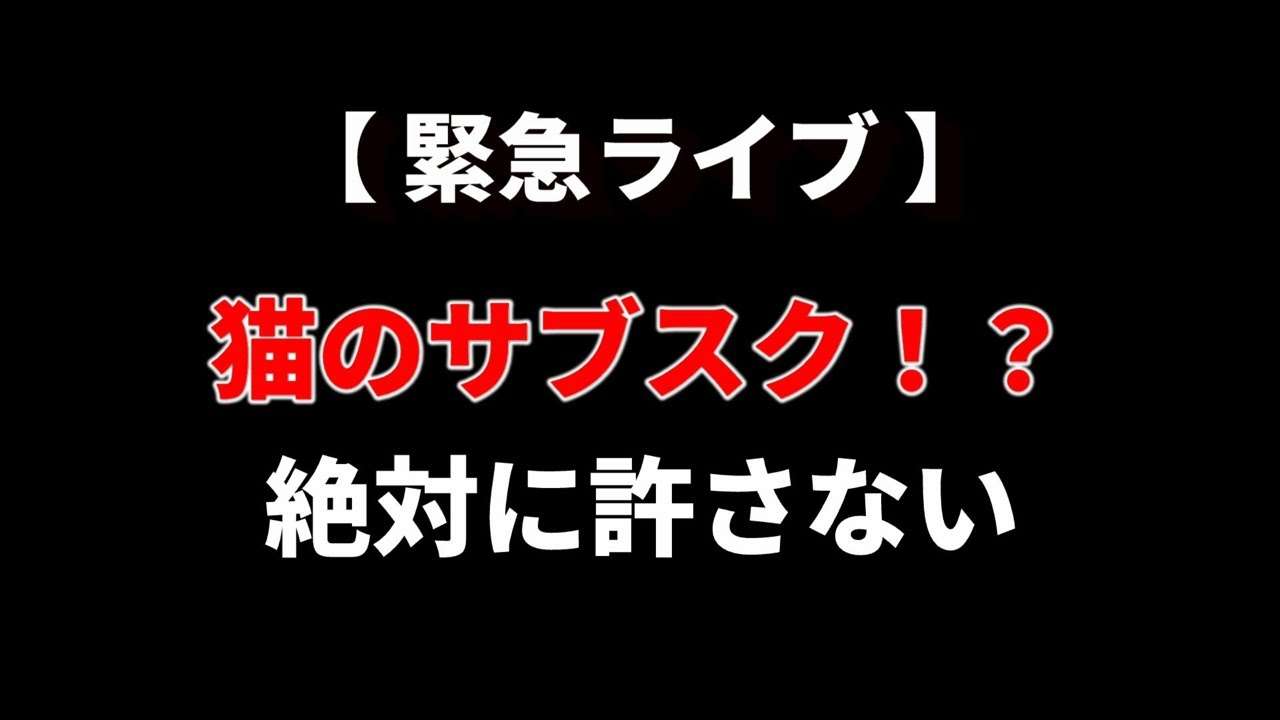 ねこホーダイ正気ですか❓ - YouTube