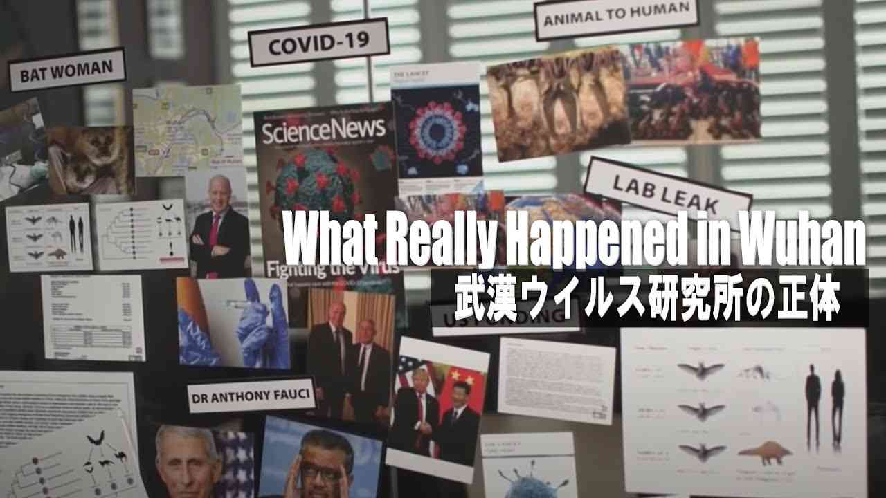 武漢ウイルス研究所の正体 ー What Really Happened in Wuhan ④（日本語字幕） - YouTube