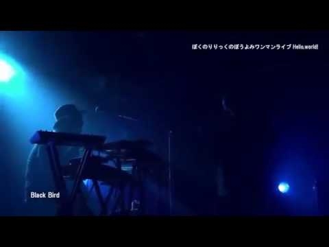 ぼくのりりっくのぼうよみ「black bird」 - YouTube