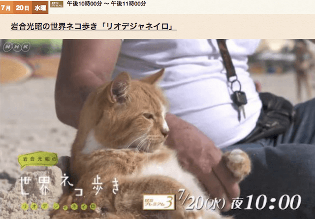 岩合光昭の世界ネコ歩き、7/20の新作は「リオデジャネイロ」 | Cat Press（キャットプレス）