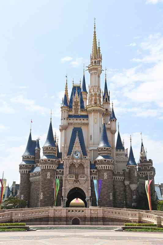 ディズニーランドのパレードに立ち塞がる　中断させた容疑で男性逮捕（毎日新聞） - Yahoo!ニュース