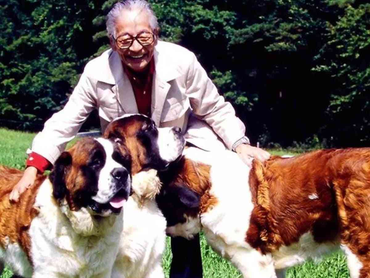 ムツゴロウさん、念願の超大型犬“セント・バーナード”とスイスで出会う。「でっかい犬もすぐにともだち」 - All About NEWS