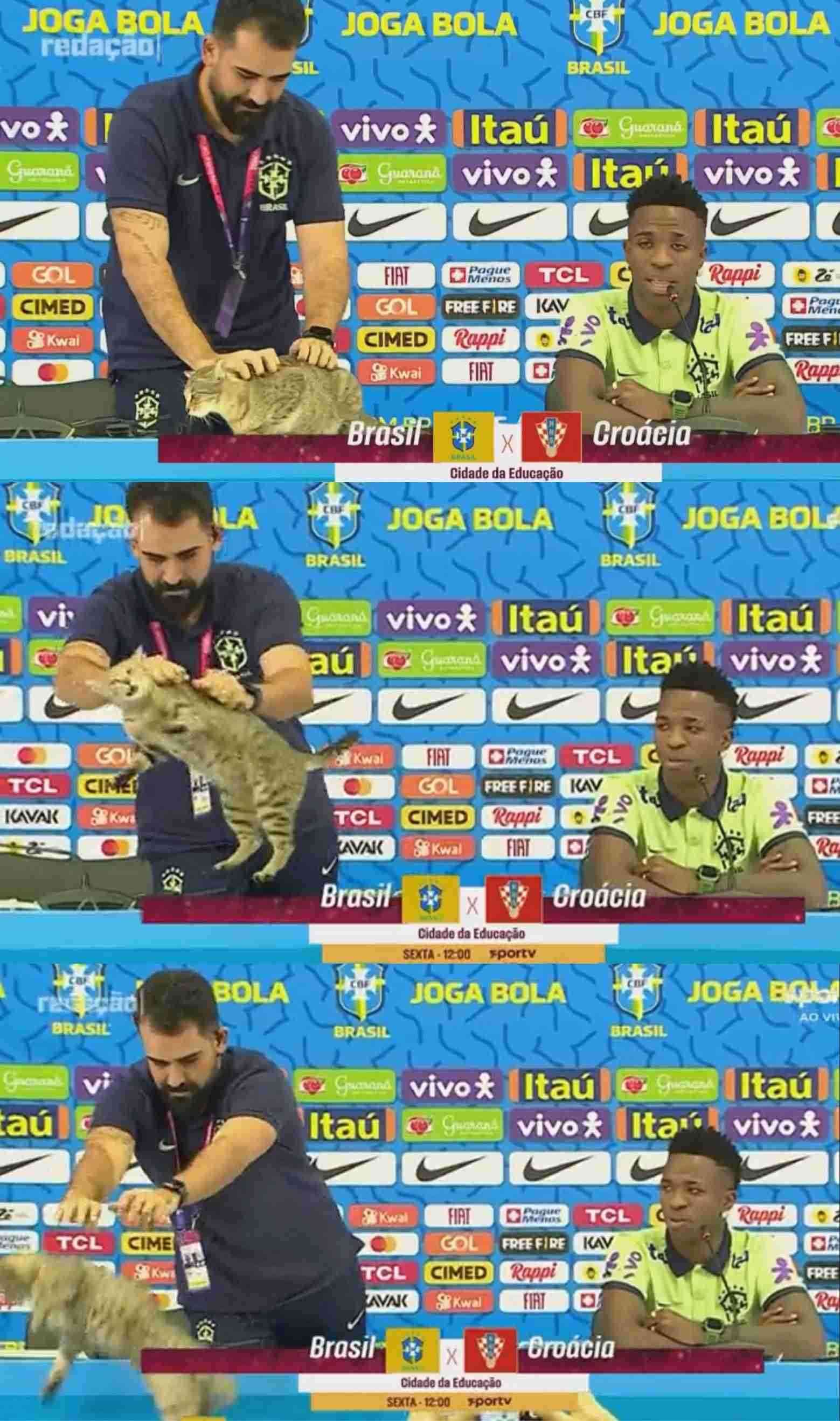 英紙「猫を残酷に…」会見中のハプニングでブラジル広報に批判の声「W杯で優勝しないことを願う」