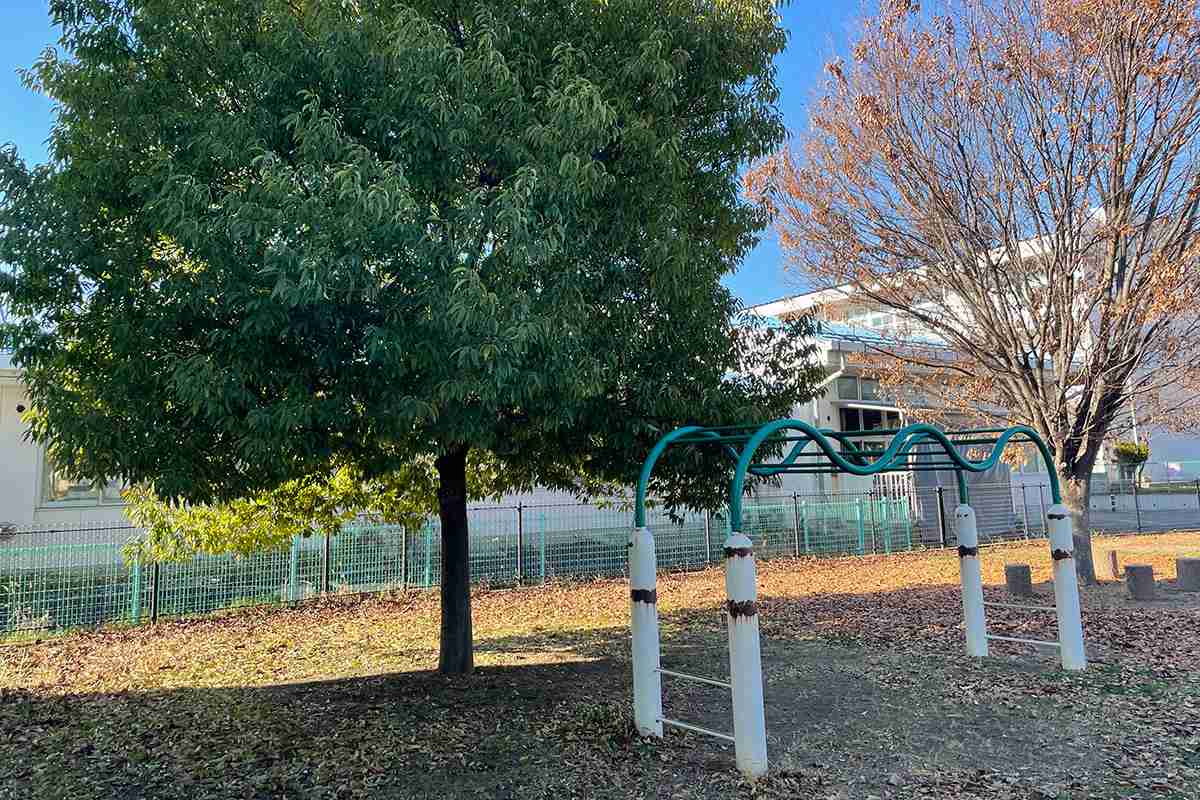 ボール遊び、幼稚園の太鼓の音にもクレーム…　長野市公園廃止、名誉教授夫妻が180分間にわたって語った“言い分”（デイリー新潮） - Yahoo!ニュース