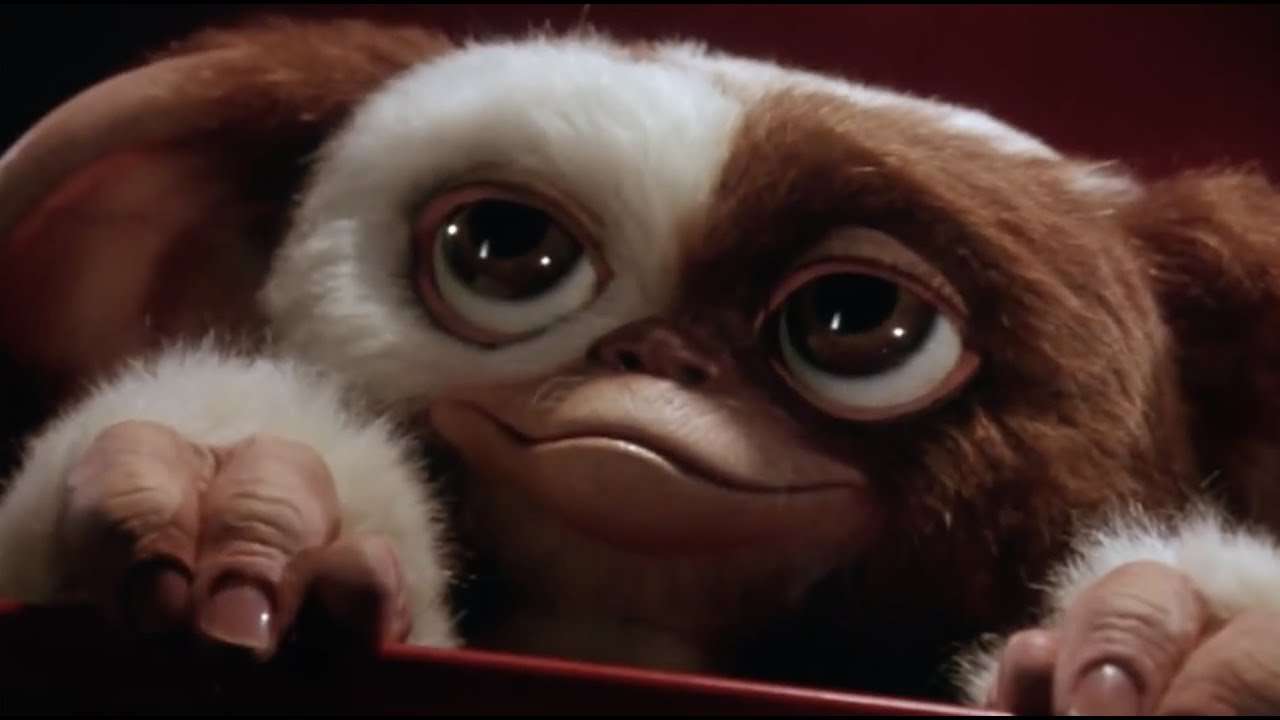 Gizmo Heaven - YouTube