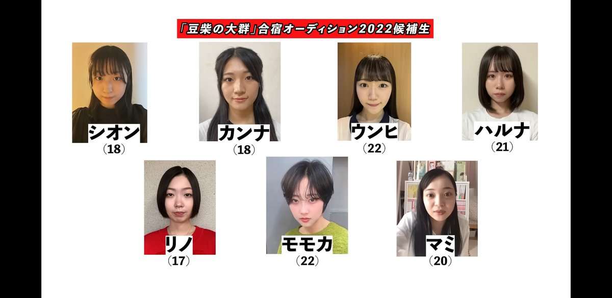 「水ダウ」クロちゃんに「恋愛感情ない」断言のマミ「豆柴の大群」オーデ辞退していた