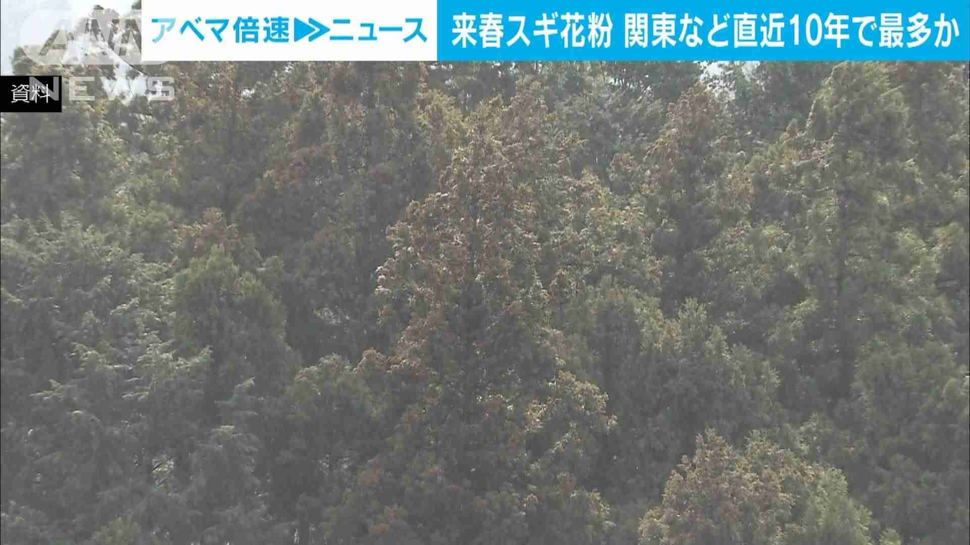 来年春のスギ花粉の飛散量　この10年で最多の見通し「しっかり対策を」環境省