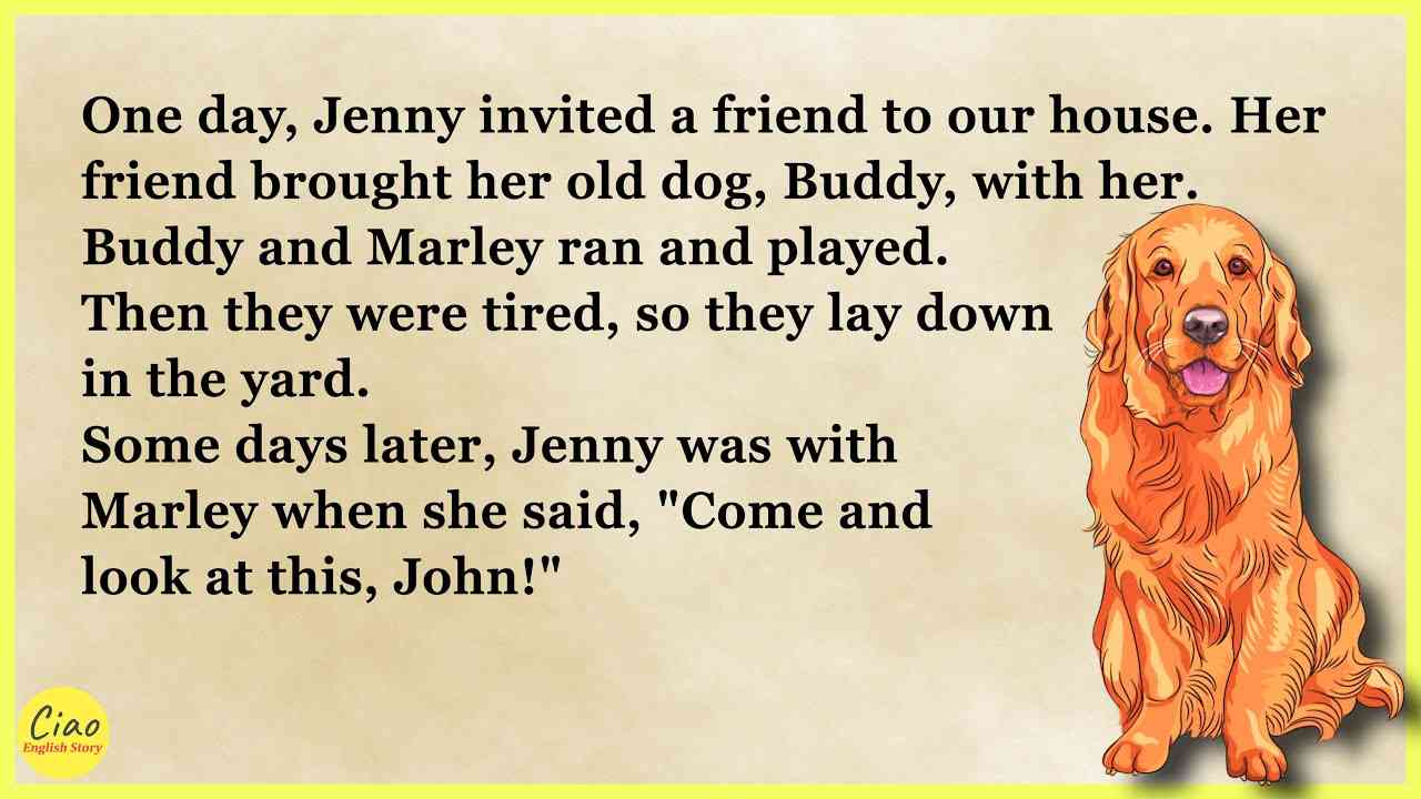 Learn English through Story ? Level 1 - My Good Dog’s Life - Graded Reader Level 1 | CiaoEL #11 - YouTube