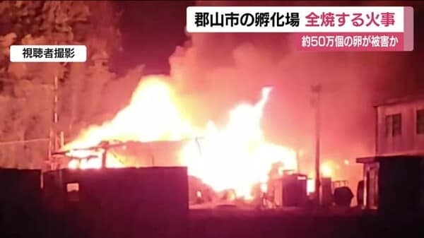 卵50万個が被害受ける　郡山市のヒヨコの孵化場で火事　施設は全焼　＜福島県＞｜FNNプライムオンライン