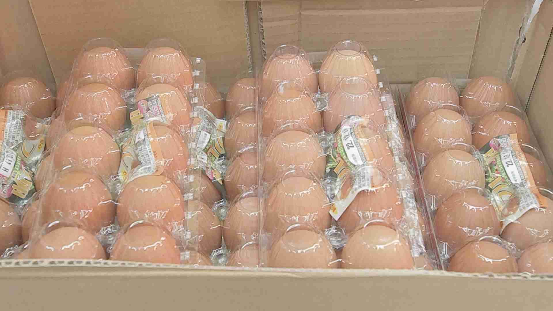 たまご去年より“3割高” 210円→273円も…「年明けには鶏卵価格は低下の見込み」 野村農水大臣が見通し示す