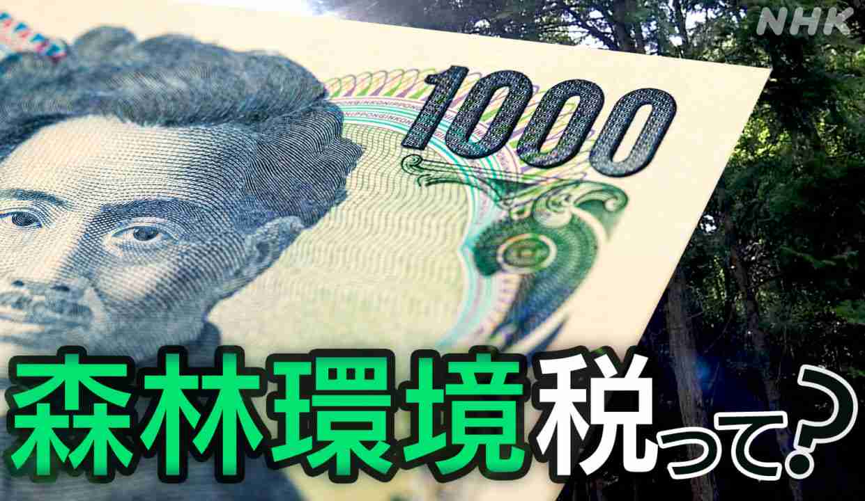 1人1000円取られる税金 なのに活用されない!? 森林環境税とは | NHK政治マガジン