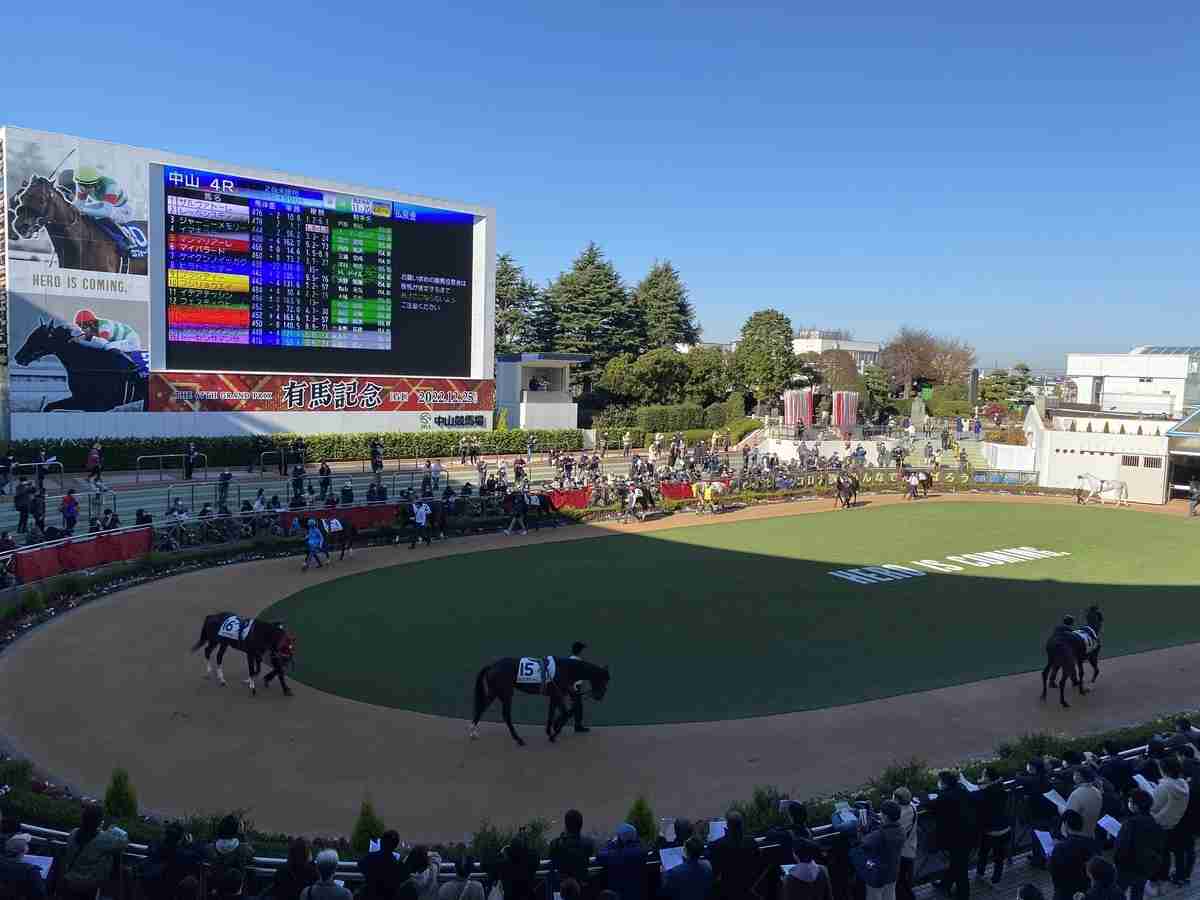 有馬記念2022　あなたの「夢」はどの馬？注目馬を挙げていきます - 欅並子の馬ウマ日記