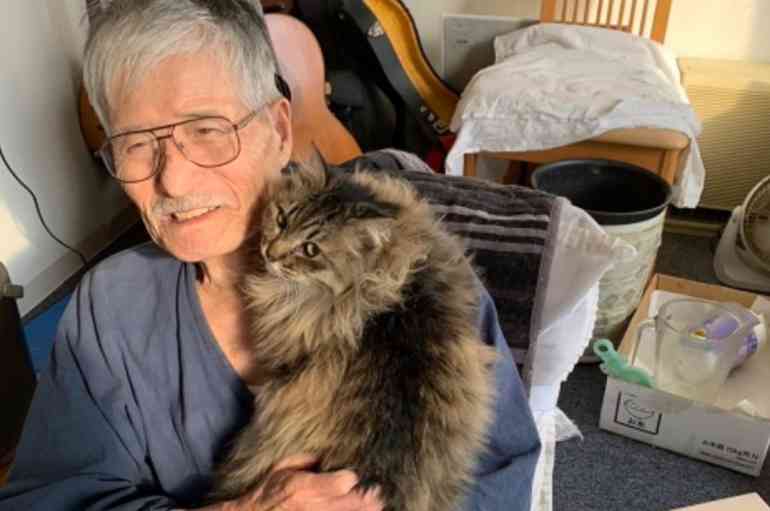全国の保護猫団体で浸透、高齢者であっても猫と暮らせる「永年預かり制度」のメリット｜@DIME アットダイム