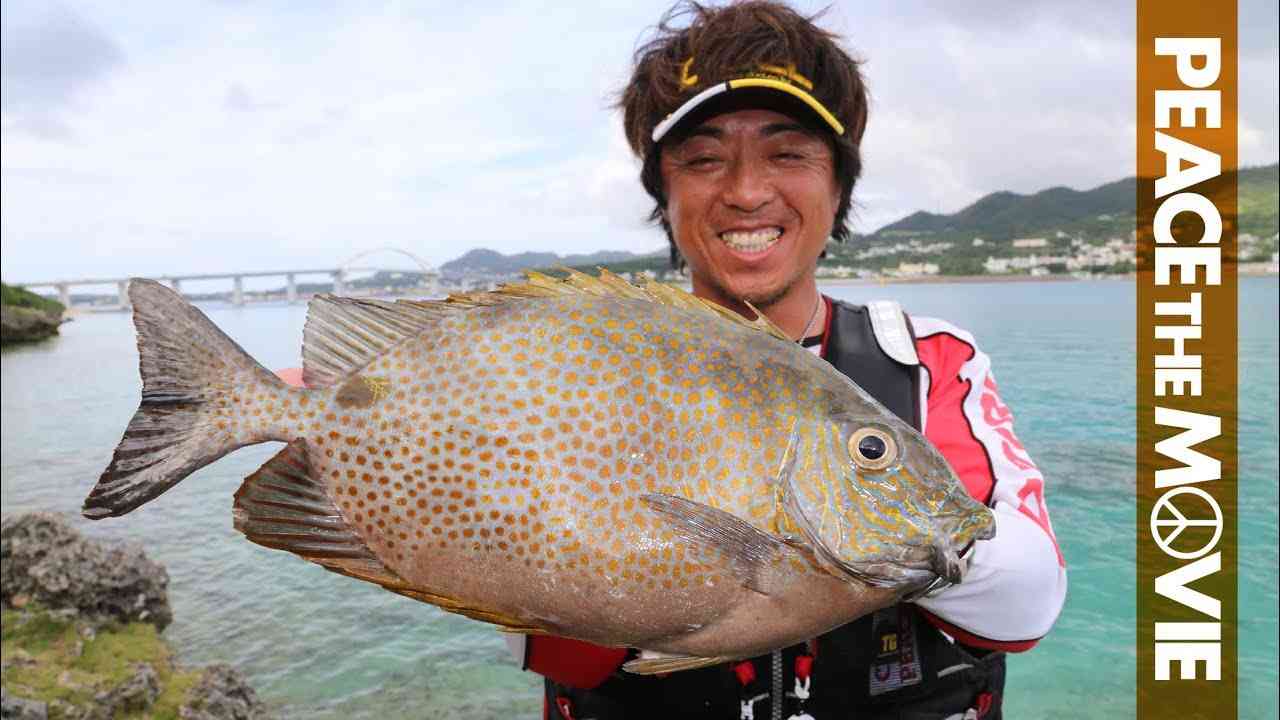 PEACE THE MOVIE #54「梅雨の沖縄！日中カーエー釣り!!」沖縄県の旅・本部町瀬底島（後編）/平和卓也(856) - YouTube