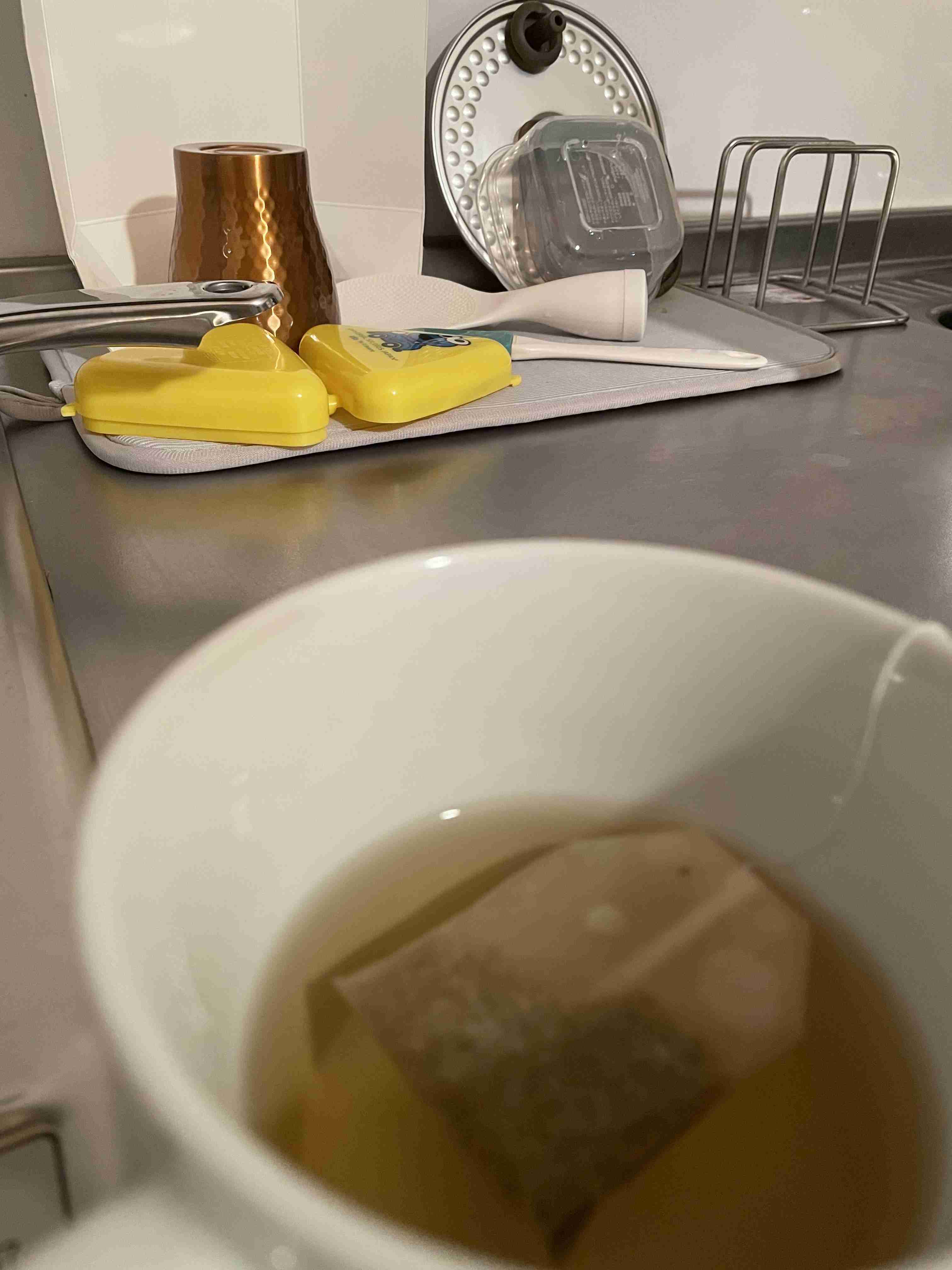 年末年始の我が家の情景を貼るトピ