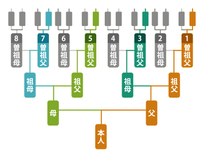 家系ラーメン好きな人🍜🍥