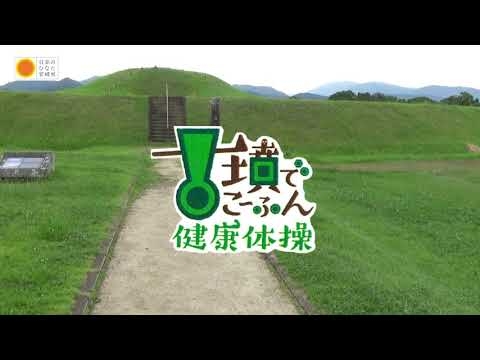【みやざき犬】踊ってみた「古墳でこーふん健康体操」 - YouTube