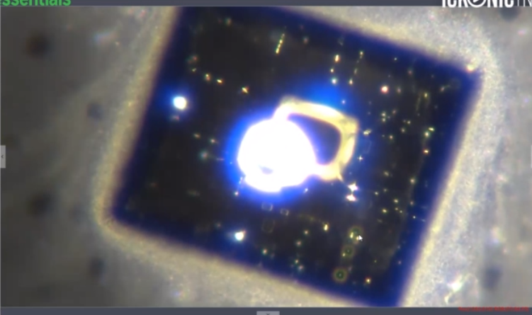 報告は氷山の一角！コロナワクチン接種後の副反応、死亡のツイートが多すぎて戦慄！vol.435 | 泣いて生まれてきたけれど