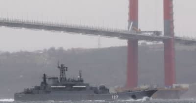 黒海でイルカが大量死　ロシア軍艦の低周波原因か