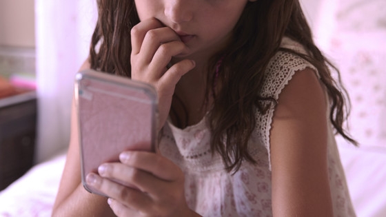 2年間に渡って10代の少女に匿名でネットいじめを行っていたのはなんと少女の母親だった - GIGAZINE