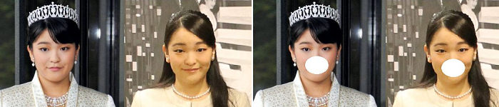 皇室ブログ・でれでれ草