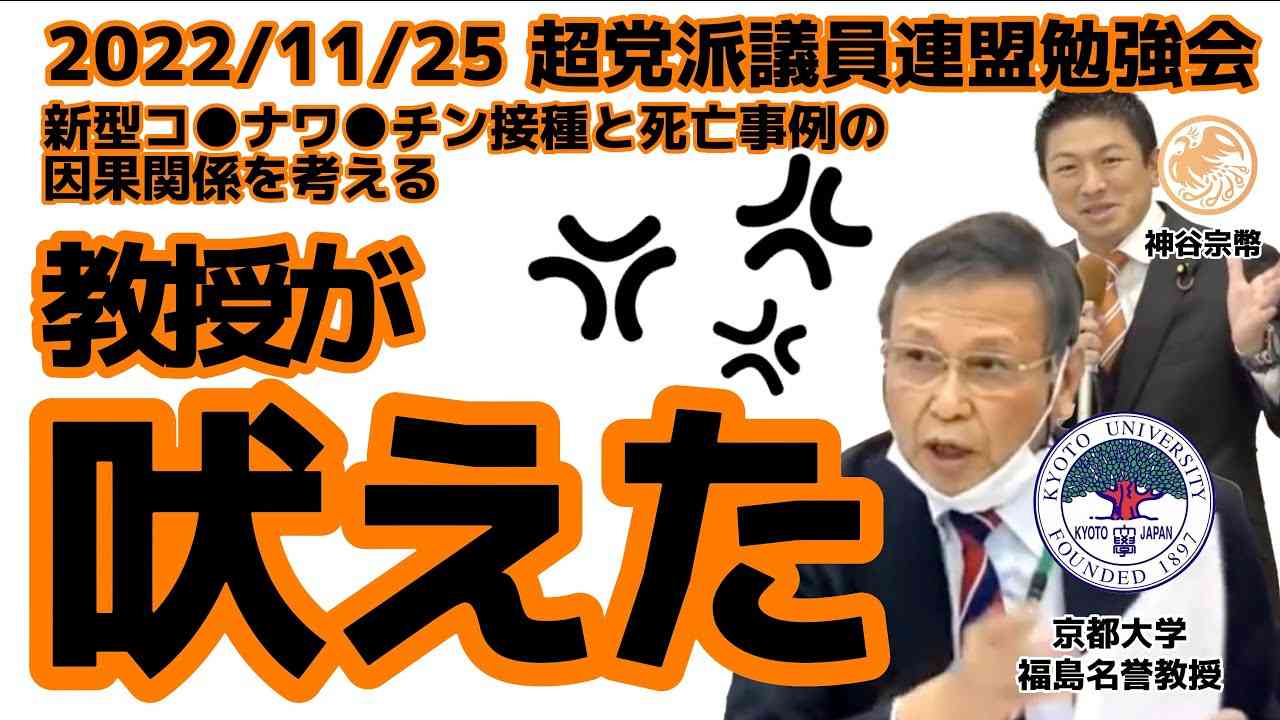 【参政党】新型コ●ナワ●チン接種と死亡事例の因果関係を考える勉強会１＃超党派議員連盟 - YouTube