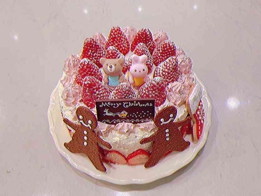 川栄李奈　今年はクリスマスケーキを手作りしたと報告「生クリームの絞り方下手すぎ」も「美味しそう」の声