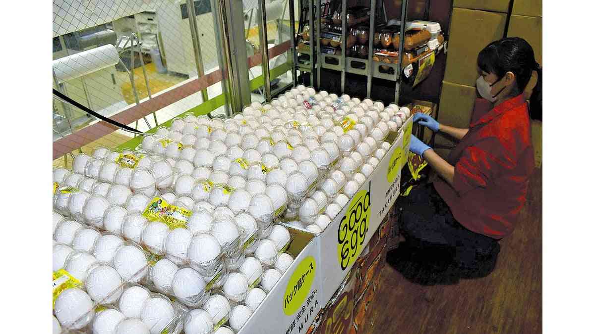 「物価の優等生」鶏卵も値上がり…卸値は過去３０年で最高値、鳥インフルも直撃 : 読売新聞オンライン