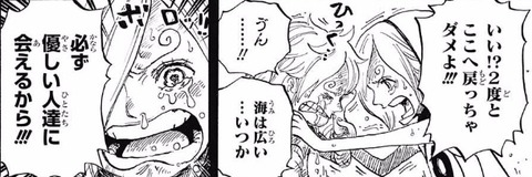 【ONE PIECE】主要人物の過去について語ろう