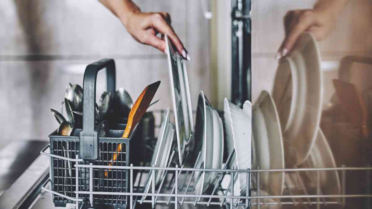 食器に残った食器洗い機用の「リンス」が腸のバリアを破壊してしまうという研究結果 - GIGAZINE