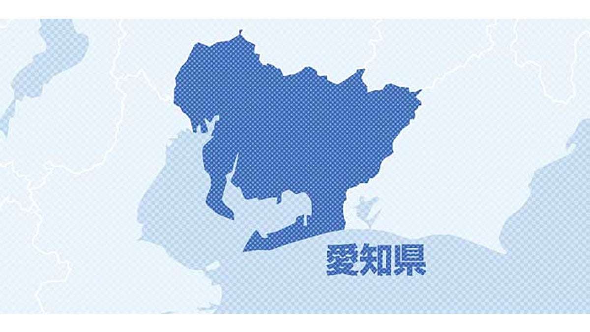 保育園、アレルギーの３歳男児におやつのケーキ…一時は集中治療室で治療 : 読売新聞オンライン