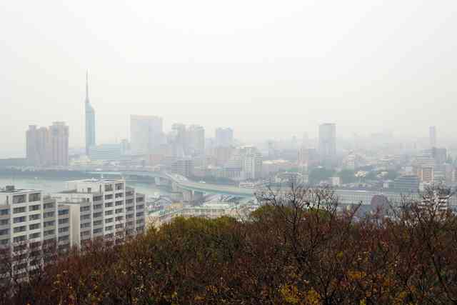 福岡の異臭、原因は桜島か　鹿児島から高濃度の二酸化硫黄流れ込む（朝日新聞デジタル） - Yahoo!ニュース