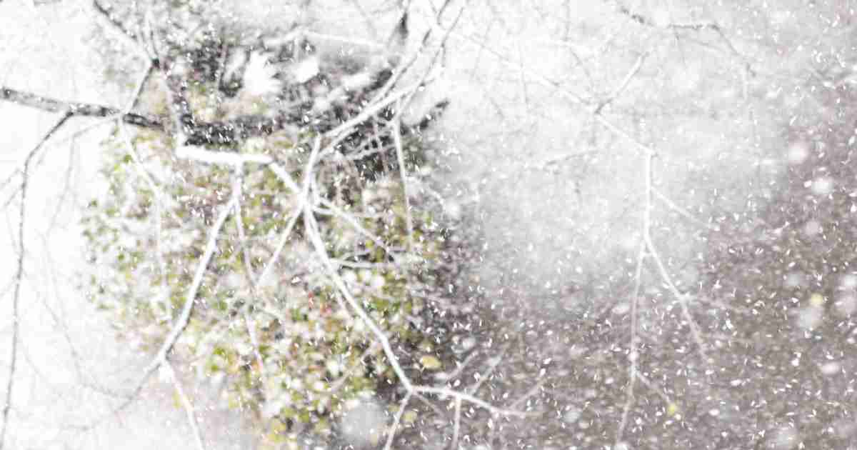 二十四節気｜暦生活