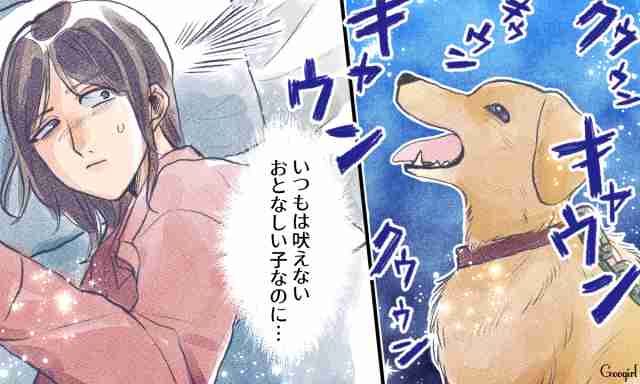 家族愛って凄い…看護師が感動した「おみとり」医療現場のエピソード