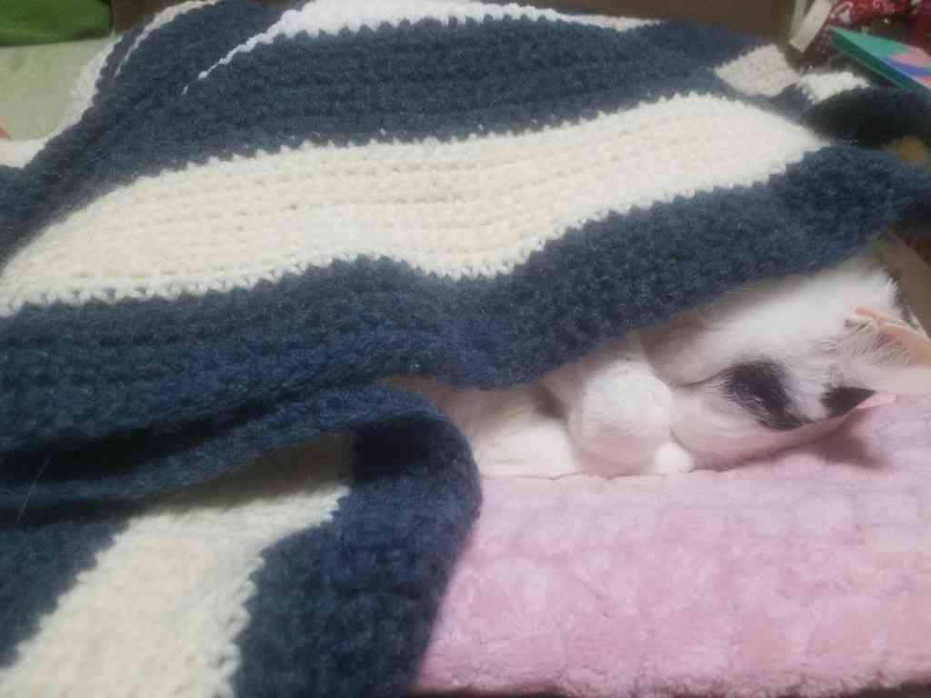 趣味の一部見せて下さい!part2