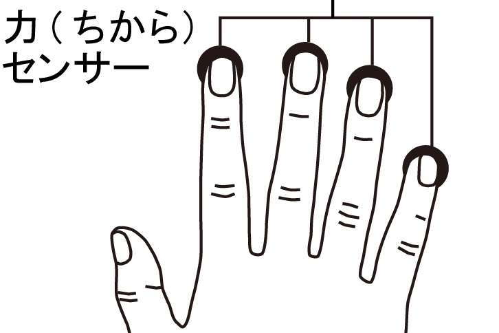高機能自閉スペクトラム症の手指運動に見られる薬指優位 | 東京大学
