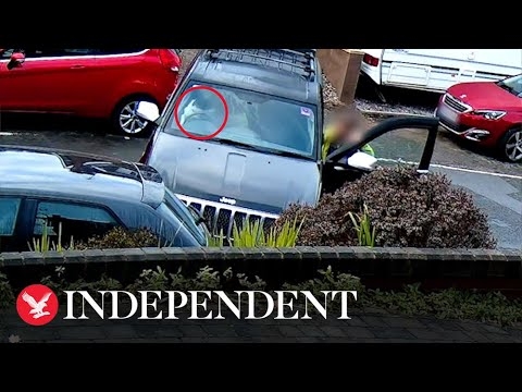 Doorbell cam catches moment dog 'drives' Jeep into parked car - YouTube
