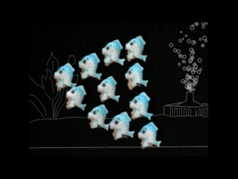 野猿 / Fish Fight! - YouTube